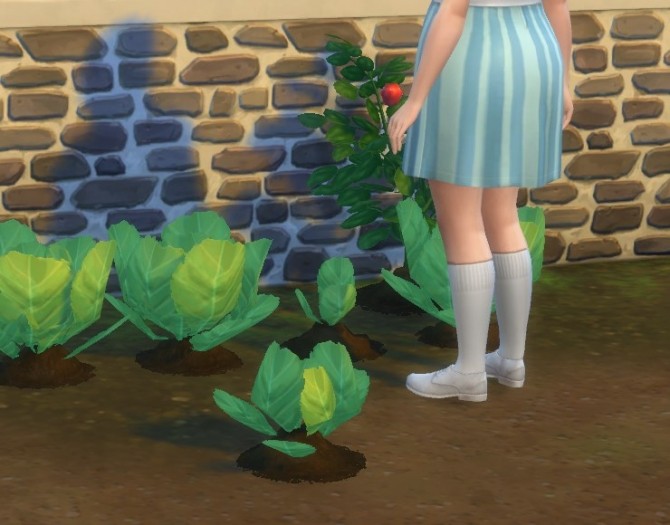 Sims 4 Harvestable Lettuce by plasticbox at Mod The Sims