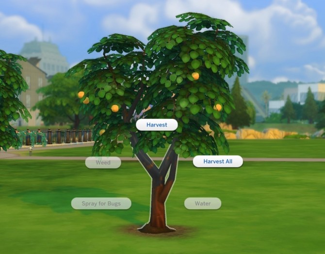 Sims 4 Harvestable Orange Tree by plasticbox at TSR
