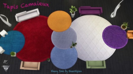 Camaieux rugs by Guardgian at Khany Sims