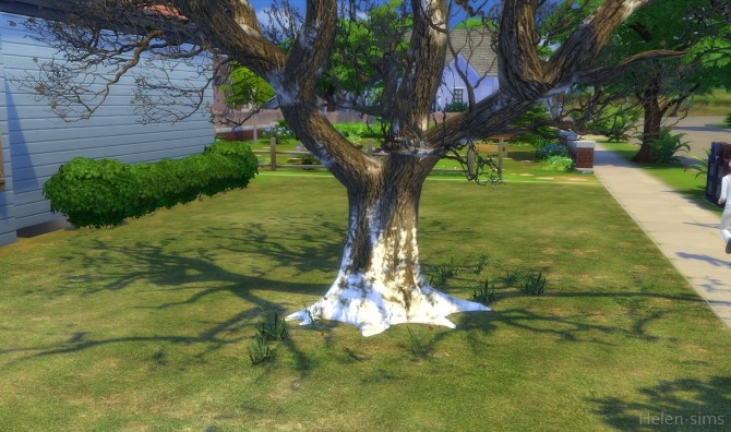 Sims 4 Oak tree at Helen Sims