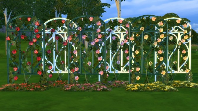 Sims 4 2 to 4 Garden Trellis by BigUglyHag at SimsWorkshop