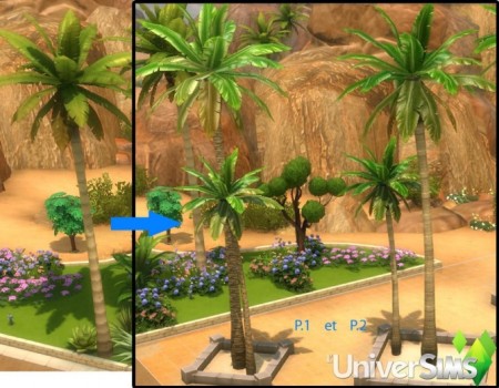 Desert Palms by Tigerone35 at L’UniverSims