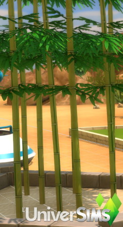 Ornamental bamboo by Tigerone35 at L’UniverSims
