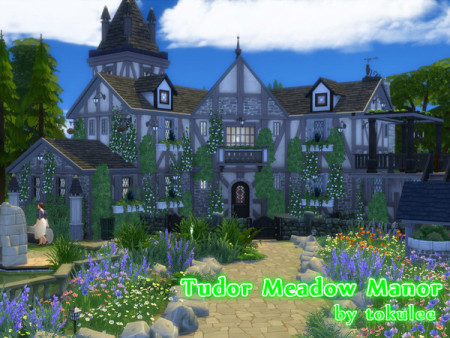 Tudor Meadow Manor by leetoku at TSR