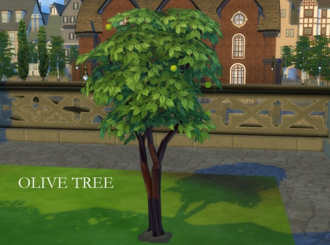 Sims 4 Harvestable Olive Tree by icemunmun at Mod The Sims