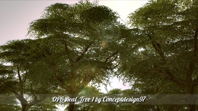 Sims 4 Outdoor Pack 6 Real Trees at ConceptDesign97