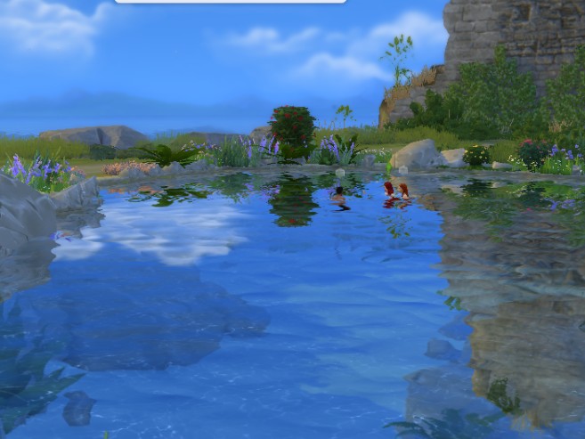 Sims 4 Natural Pool for Windenburg’s Bluff Island by SimLaReine at Mod The Sims