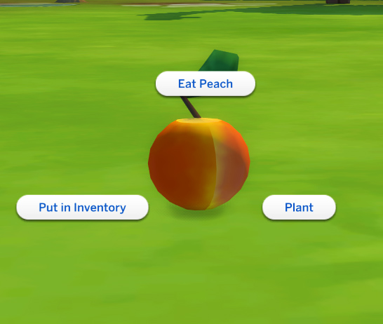 Sims 4. Mod The Sims - Plants : Harvestable Peach Tree by icemunmun. icemun...