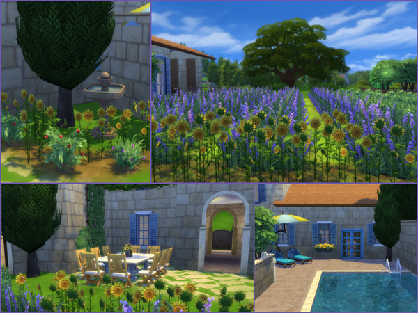 Sims 4 Napa Valley Vineyard & Lavender Farms by Xanthia love at TSR