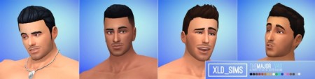 The Major Facial Hair V4.0 by Xld_Sims at SimsWorkshop