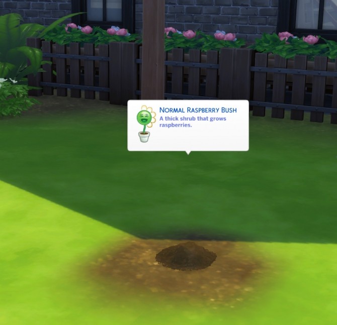 Sims 4 Harvestable Raspberry Plant by icemunmun at Mod The Sims