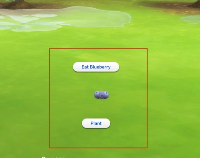 Sims 4 Harvestable Blueberry Plant by icemunmun at Mod The Sims
