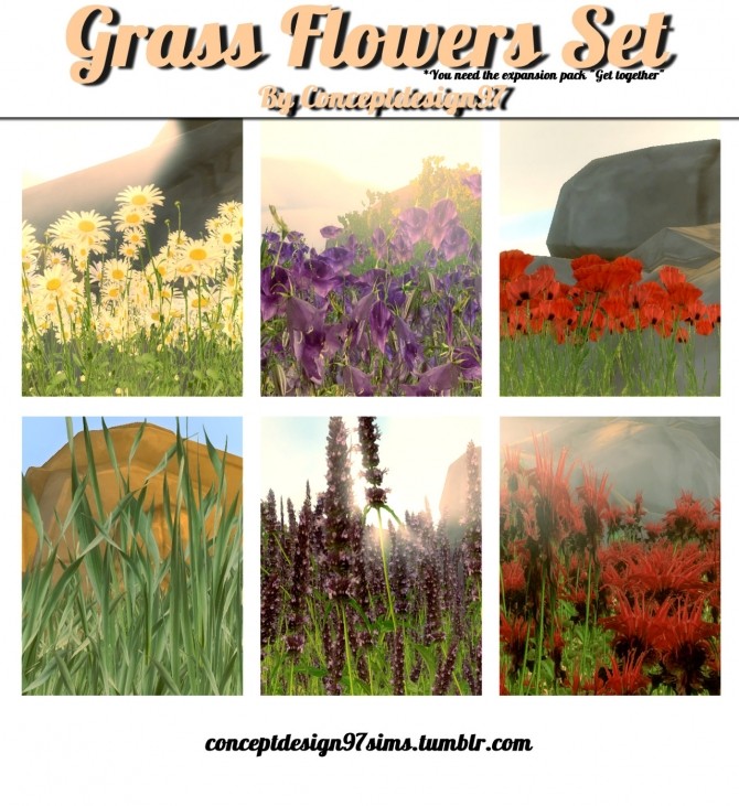 Sims 4 Grass Flowers Set by ConceptDesign97 at SimsWorkshop
