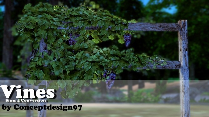 Sims 4 Vines & Pumpkin at ConceptDesign97
