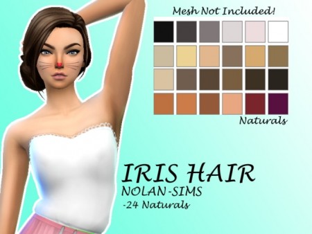 Iris Hair Recolor by Lovelysimmer100 at SimsWorkshop