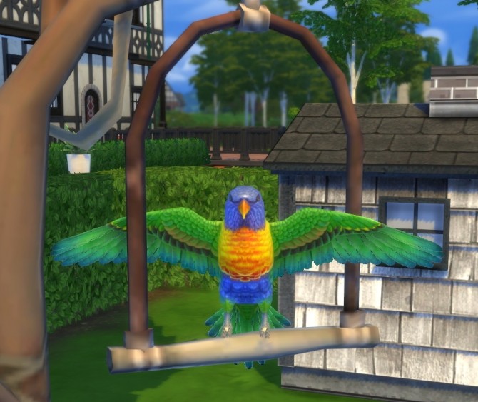 Sims 4 CS Tropical Bird by BigUglyHag at SimsWorkshop
