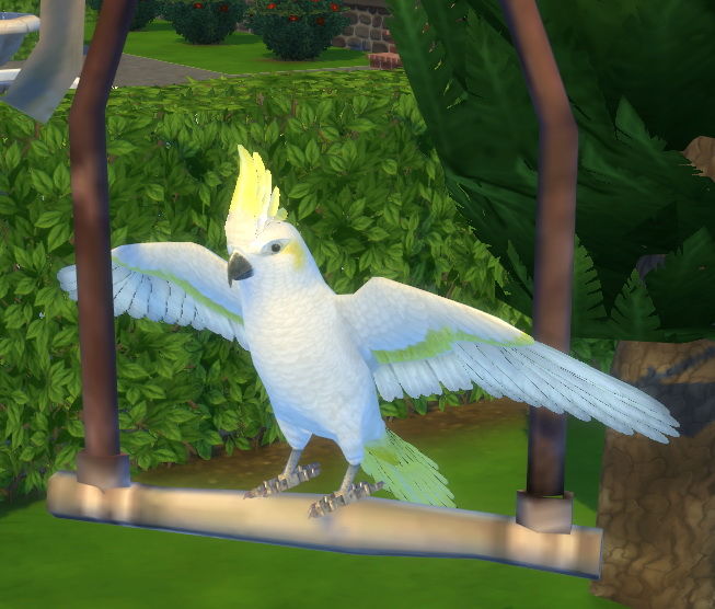 Sims 4 CS Tropical Bird by BigUglyHag at SimsWorkshop
