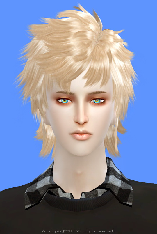 Sims 4 Dynasty Warriors 8 XuShu Hair TS4 Conversion Edit at Twinklestar Rg Veda