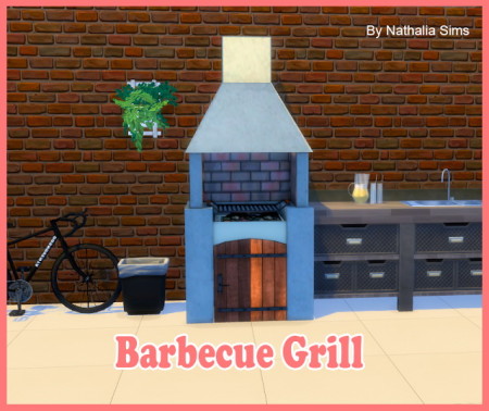 Barbecue Grill Conversion 2t4 at Nathalia Sims