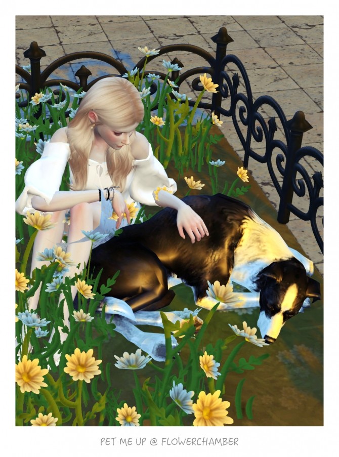 Sims 4 PET ME UP Poses Sets at Flower Chamber