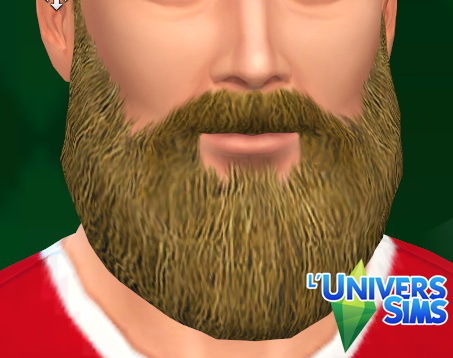 Sims 4 Long beards by Tigerone35 at L’UniverSims