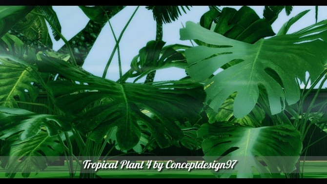 Sims 4 Outdoor Pack 5   10 Tropical Plants & 5 Palm Trees at ConceptDesign97