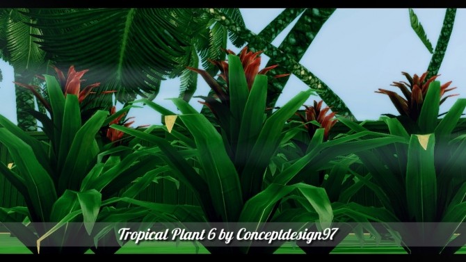 Sims 4 Outdoor Pack 5   10 Tropical Plants & 5 Palm Trees at ConceptDesign97