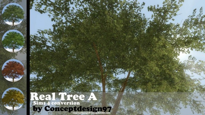 Sims 4 Real Tree A at ConceptDesign97