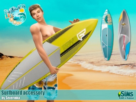 Accessory surfboard at Sims by Severinka