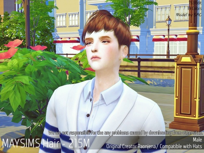 Sims 4 Hair 215M (Raonjena) at May Sims