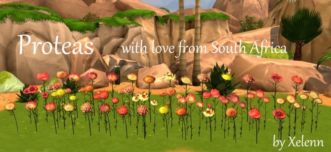 Sims 4 Proteas flowers at Xelenn