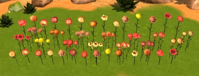 Sims 4 Proteas flowers at Xelenn