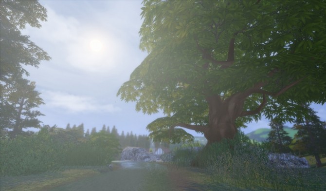 Sims 4 Ulmus tree 01 as default at Alf si