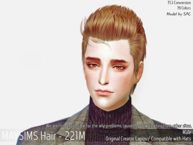 Sims 4 Hair 221M (Lapizu) at May Sims