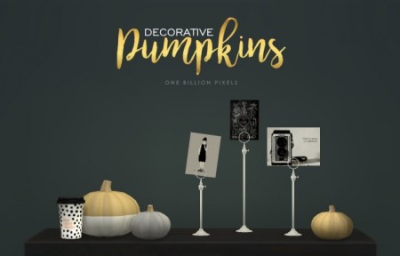 Decorative Pumpkins at One Billion Pixels