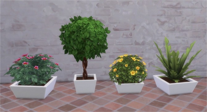 Sims 4 KiKi Plants 2 at Veranka