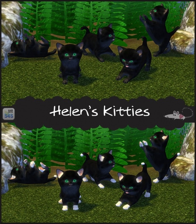 Sims 4 Helens kitties in black and with white tips at Loverat Sims4