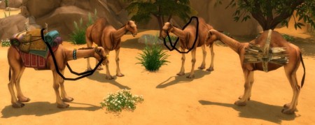 Camels Titan Quest conversion by BigUglyHag at SimsWorkshop