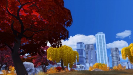 City Living autumn update at Dani Paradise