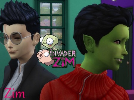 Project Invader Zim (Minimal CC) by Mixceny at Mod The Sims