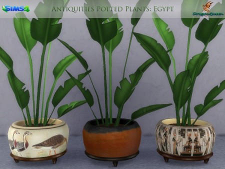 Egypt Antiquities Potted Plants by DragonQueen at TSR