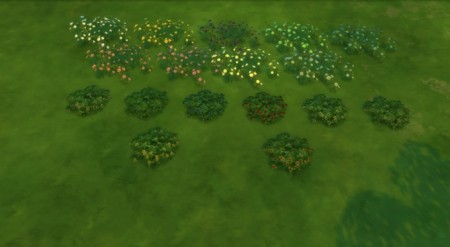 Daisies pansies recolored by Fitz71000 at Mod The Sims