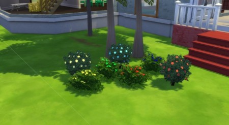 Recolors roses (bush) and ditties by Fitz71000 at Mod The Sims