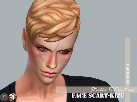 Face Scars kizu at Studio K-Creation