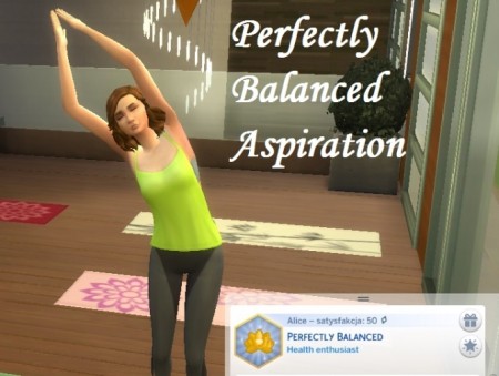 Perfectly Balanced Aspiration by IlkaVelle at Mod The Sims