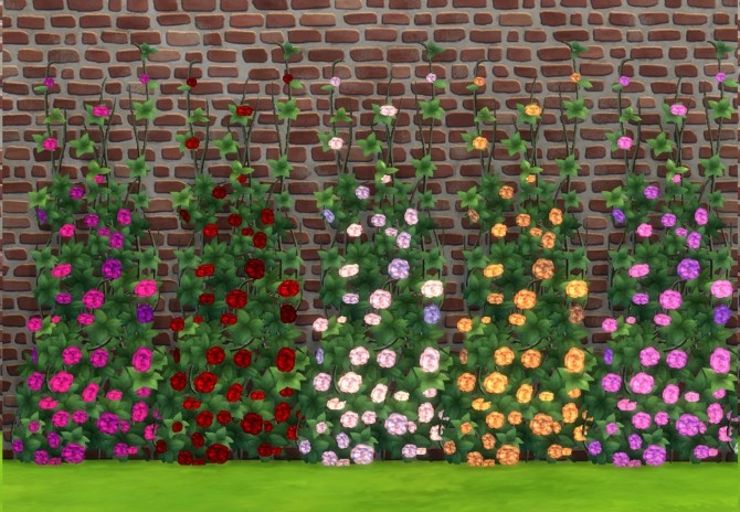 Sims 4 Rose Climber by Snowhaze at Mod The Sims