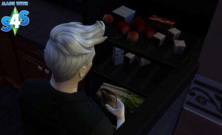 Blood bag O Negative and Emergency cooler for Vampire by Séri at Mod The Sims