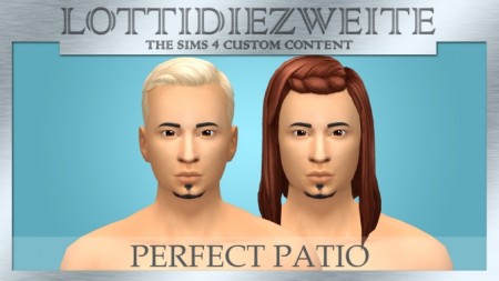 Perfect Patio Stuff male hairs recoloured by lottidiezweite at SimsWorkshop