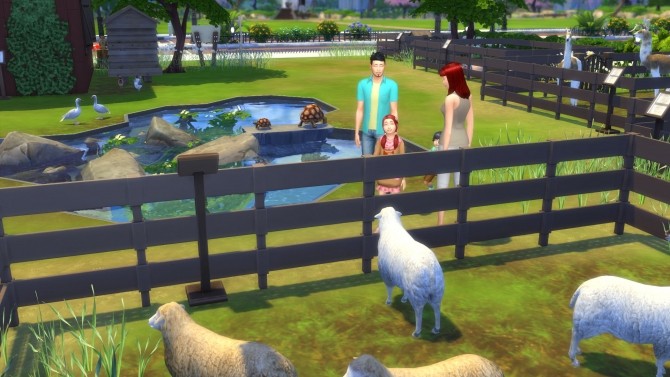 Sims 4 Fuzzy Friends Petting Zoo by Snowhaze at Mod The Sims