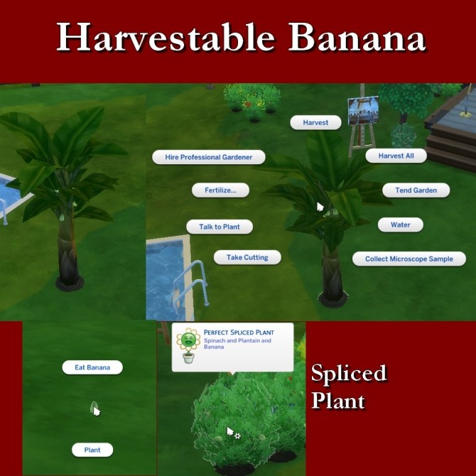 Sims 4 Harvestable Banana Plant by Leniad at SimsWorkshop